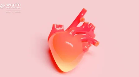 coronary arteries