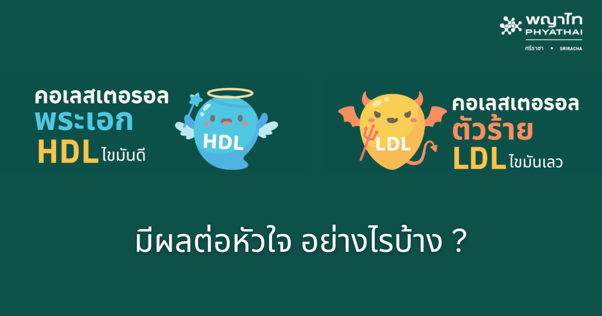 ไขมันดี ไขมันเลว มีผลต่อหัวใจอย่างไรบ้าง?