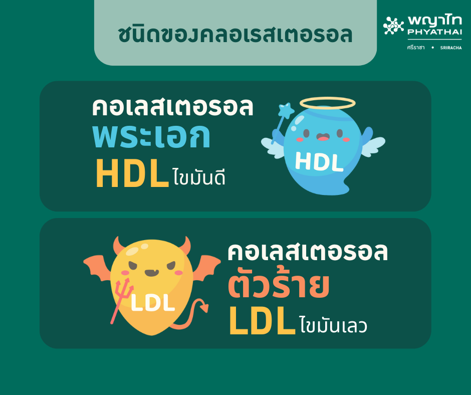 คอเลสเตอรอล คืออะไร