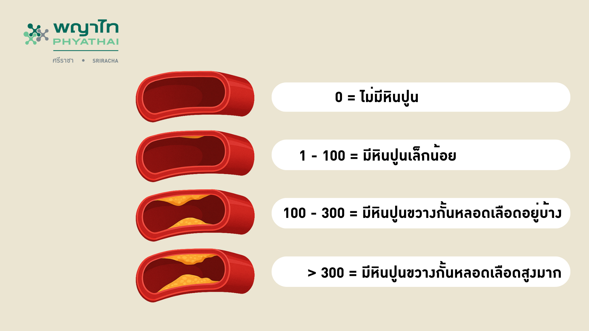 หลอดเลือดเปลี่ยนแปลงอย่างไรในแต่ละช่วงวัย